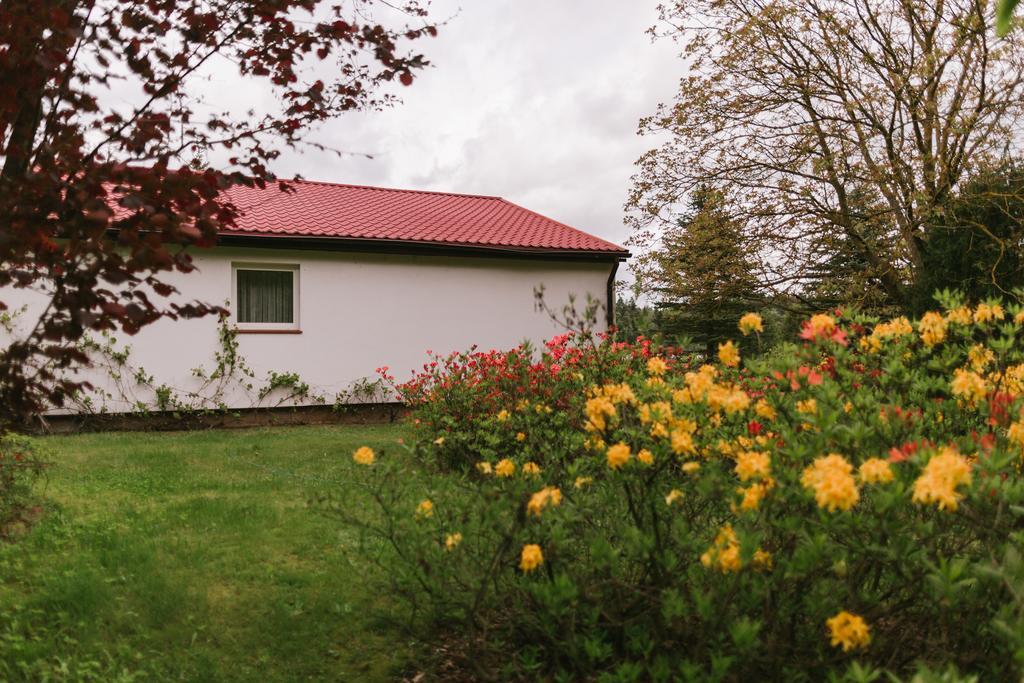 Bobrowa Dolina Bed & Breakfast Рин Екстериор снимка